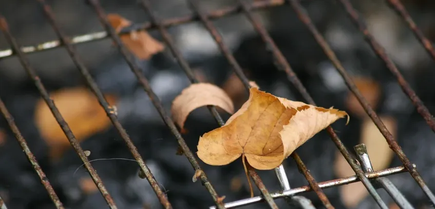 charcoal smoker