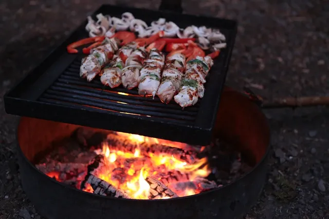 portable gas grills
