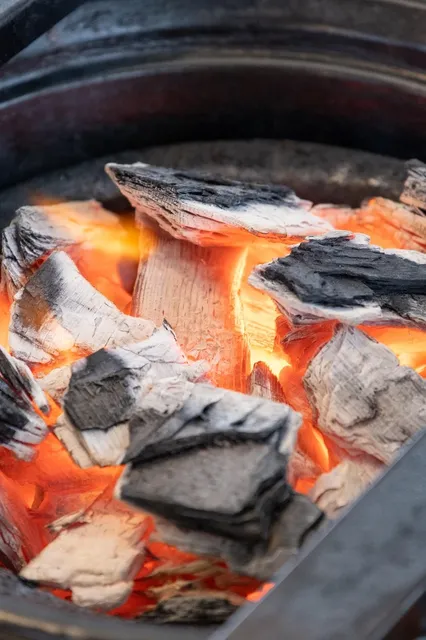 char broil grill