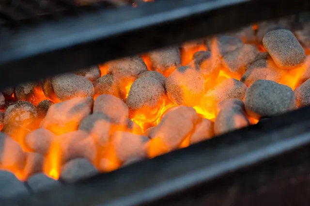 Char Broil Gas2Coal grill