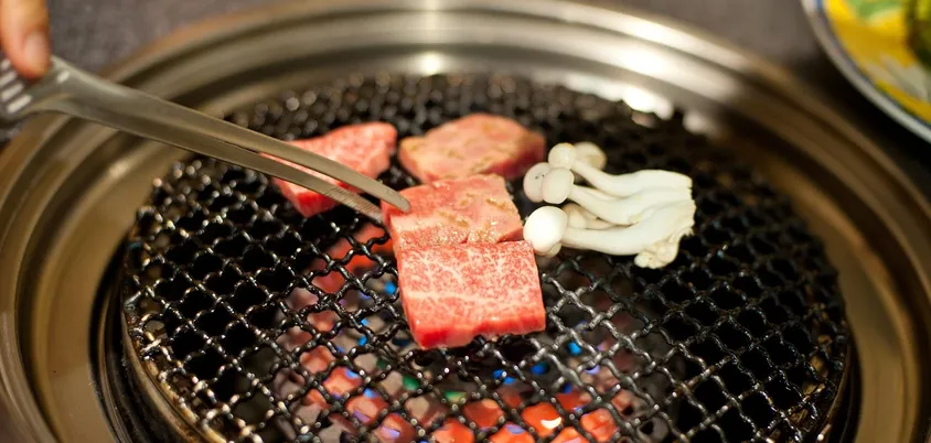 Best BBQ Gloves