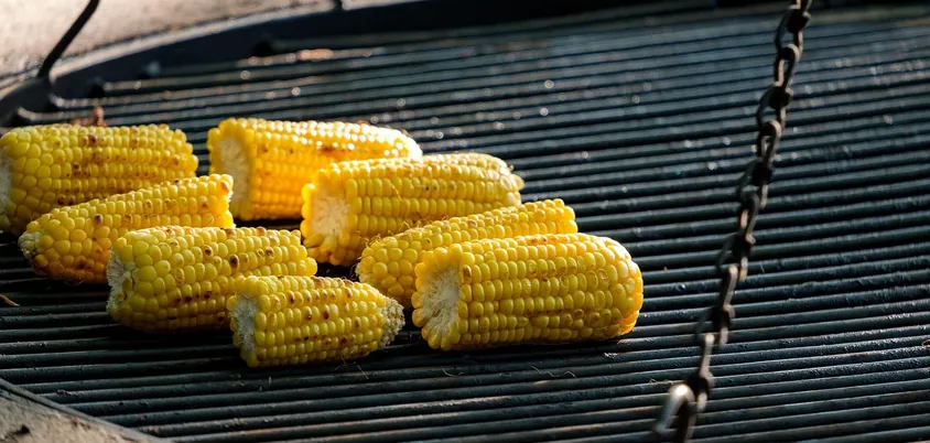 How long to cook chicken on george foreman grill