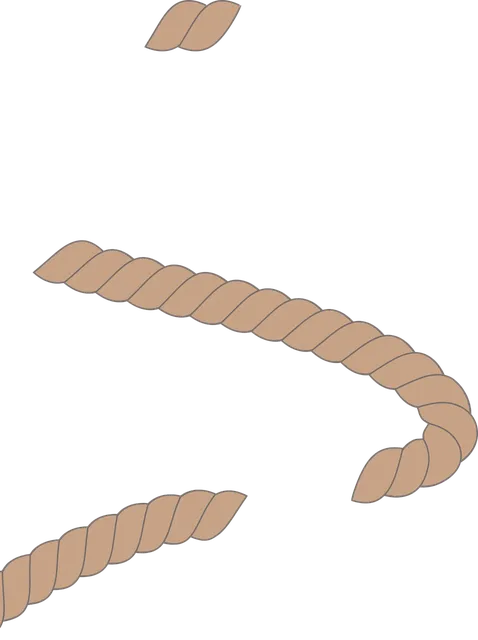 bristle free grill brush