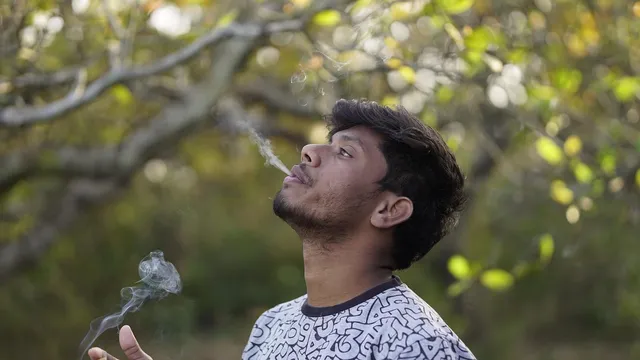 fish smokers