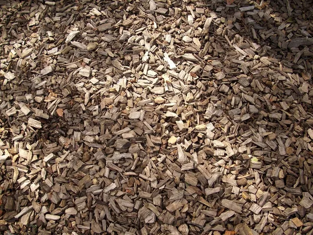 soak wood chips