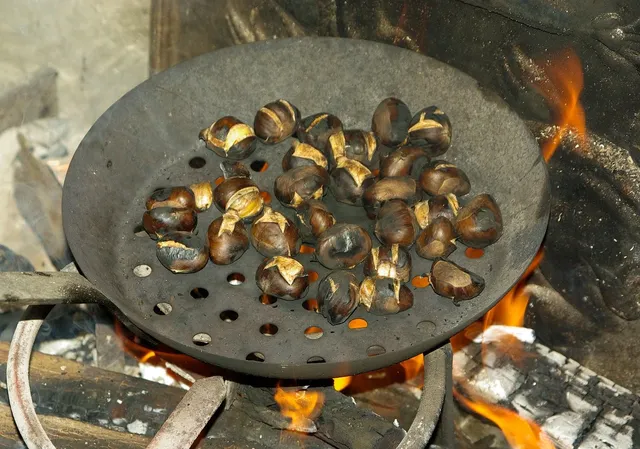 gas grills