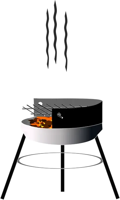 Best 5 burner gas grills