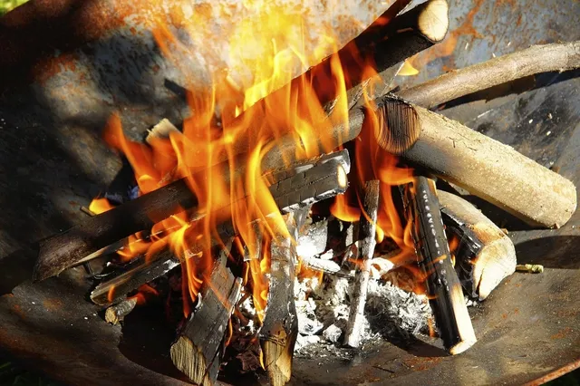wood pellets