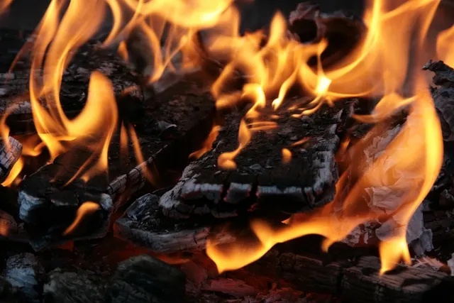 wood pellets for grilling