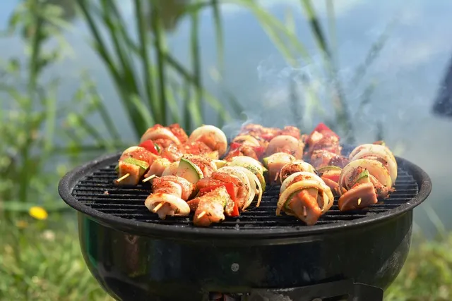 philips indoor grill