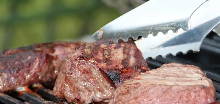 best 2 burner gas grill