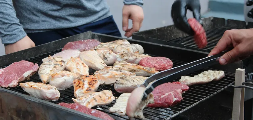 How to choose a portable grill