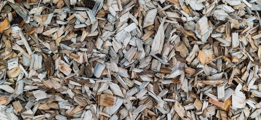 soak wood chips for electric smoker