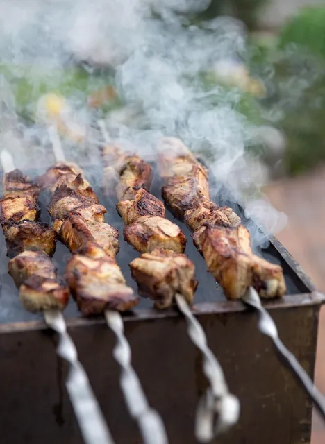 portable outdoor grill