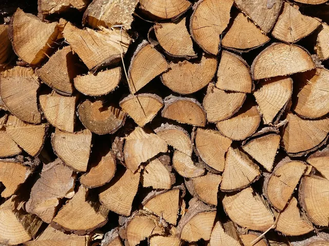 Using Wood Chips on Electric Grills and Gas Grills