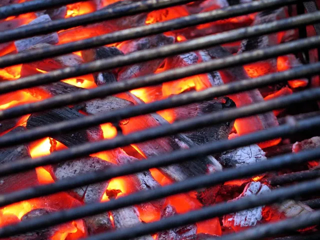 charcoal grills