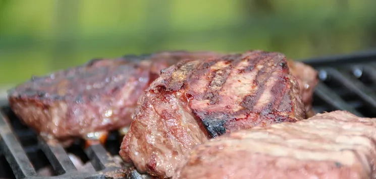 Best gas grill for beginners