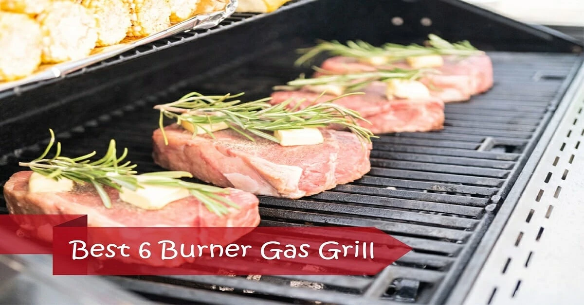 Best 6 Burner Gas Grill