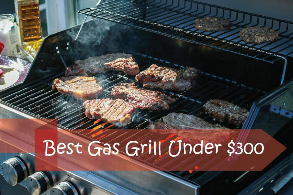 Best Gas Grill Under 300