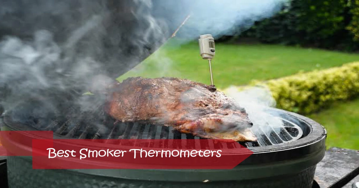 Best Smoker Thermometers